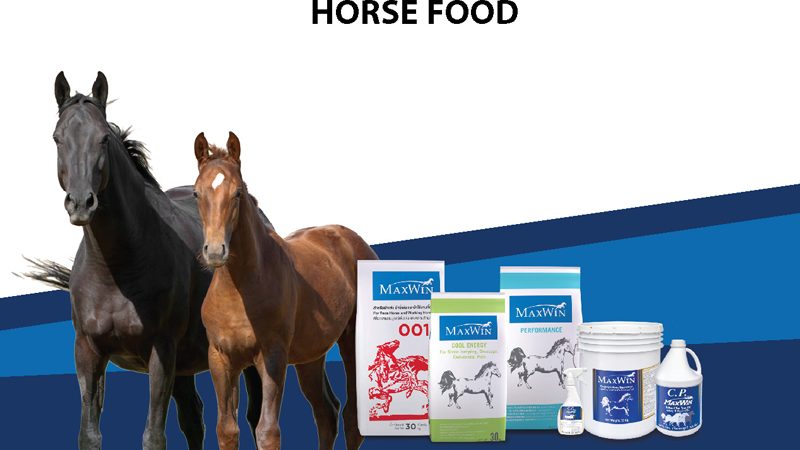 Horse-Food-Category